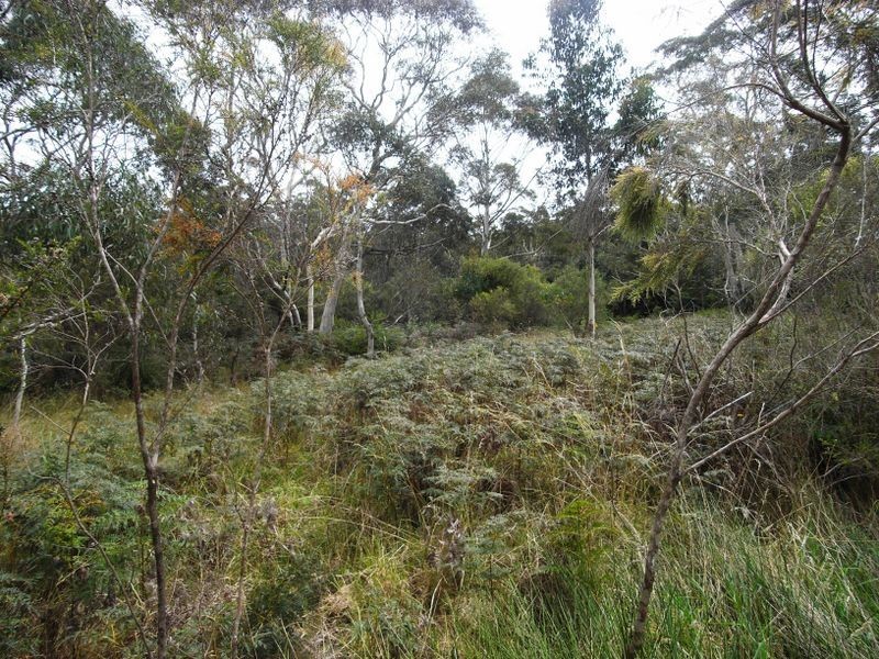 53 Burrawang Street, Katoomba NSW 2780