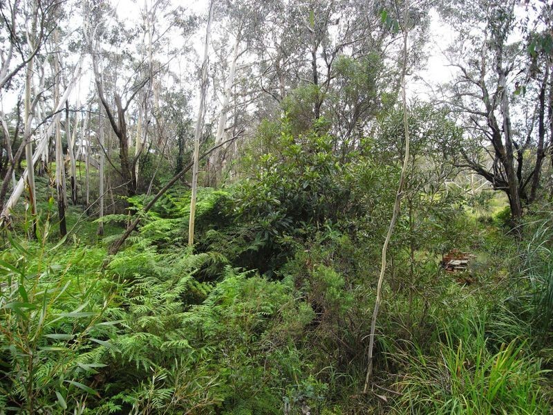 53 Burrawang Street, Katoomba NSW 2780