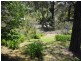 15 Highland Street, Leura NSW 2780