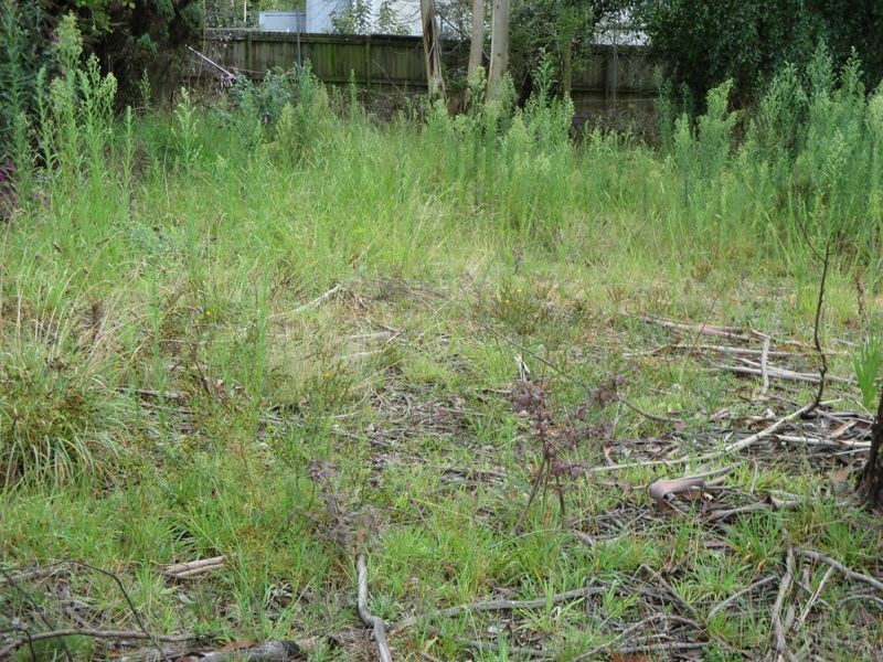 5 Whinmoor Street, Katoomba NSW 2780