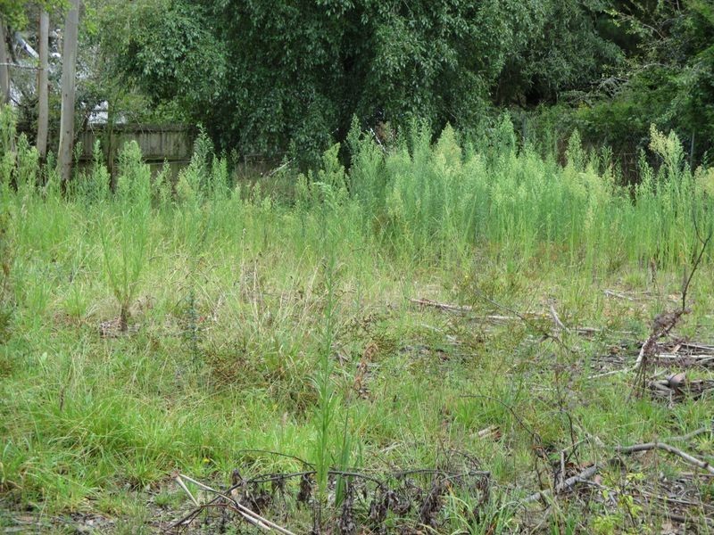 5 Whinmoor Street, Katoomba NSW 2780