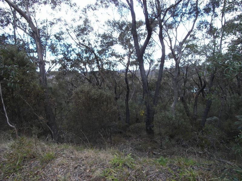 67 Bate Street, Wentworth Falls NSW 2782