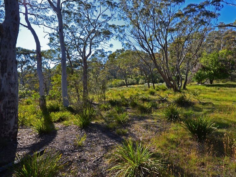 25 Explorers Road, Katoomba NSW 2780