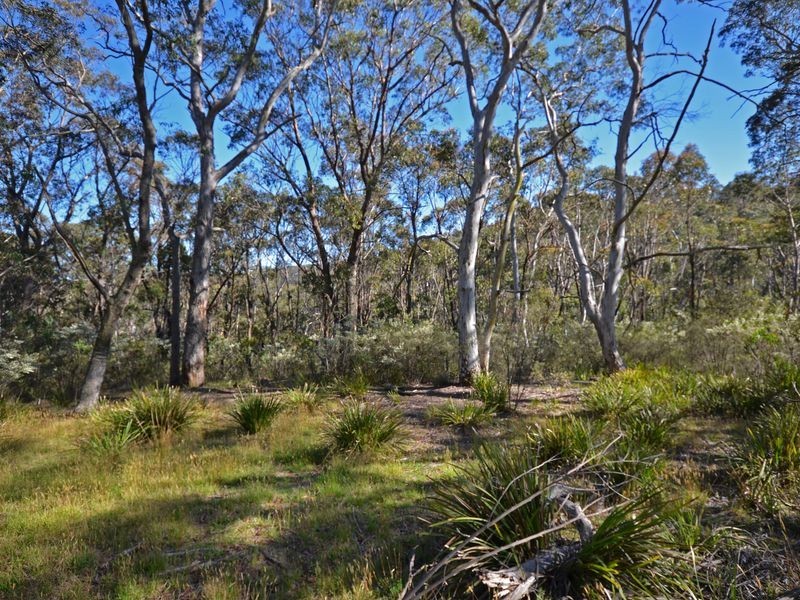 25 Explorers Road, Katoomba NSW 2780