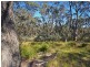 25 Explorers Road, Katoomba NSW 2780
