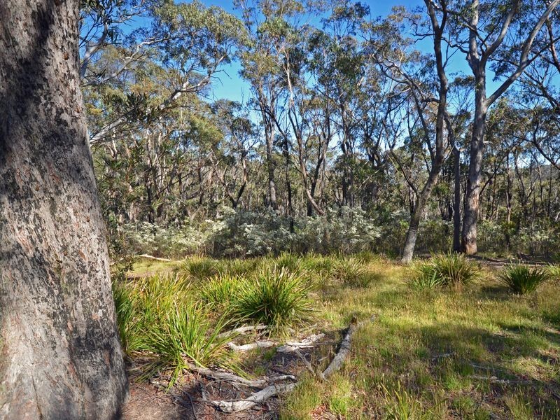 25 Explorers Road, Katoomba NSW 2780