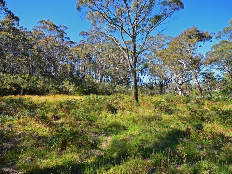 25 Explorers Road, Katoomba NSW 2780