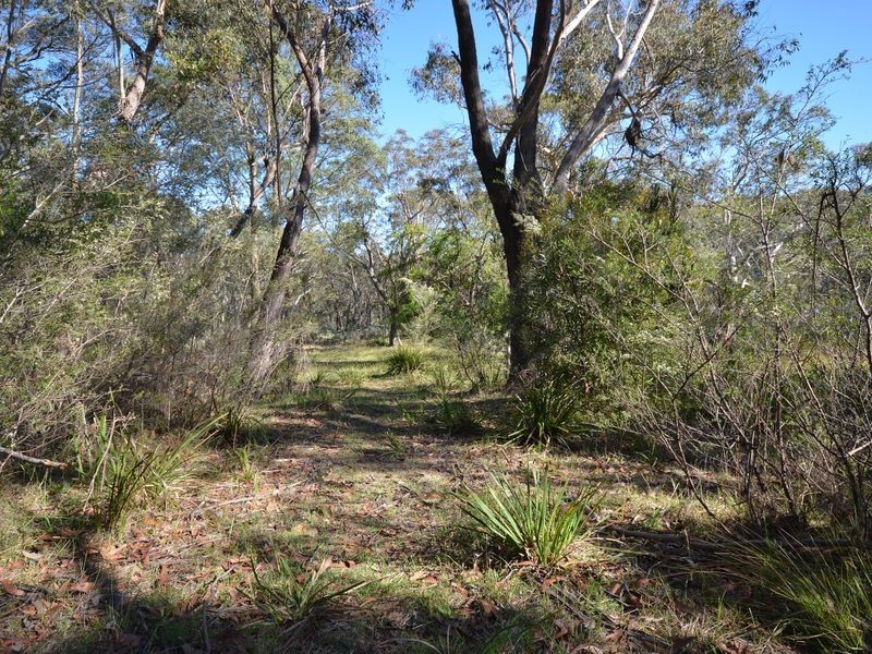 25 Explorers Road, Katoomba NSW 2780