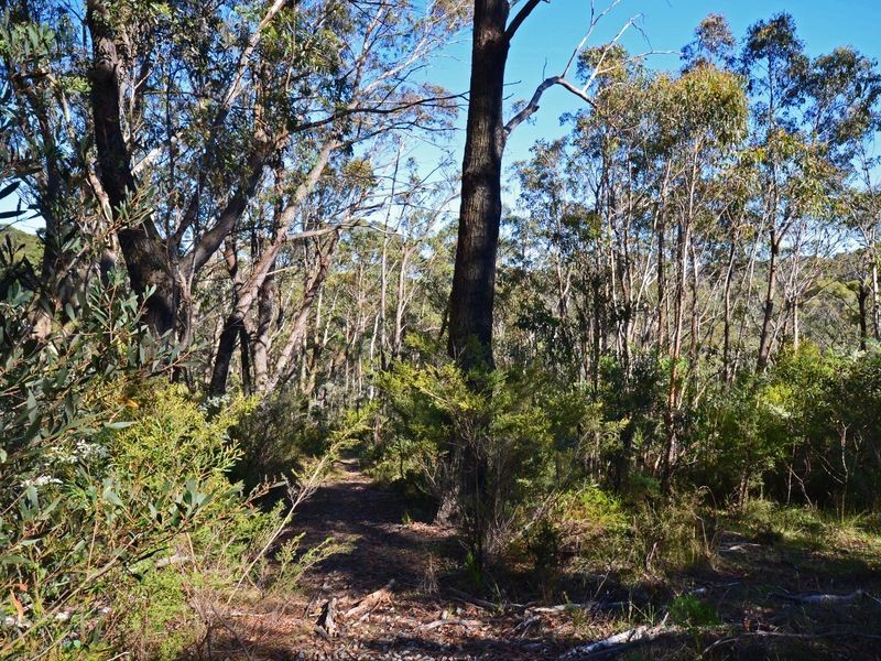 25 Explorers Road, Katoomba NSW 2780