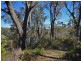 25 Explorers Road, Katoomba NSW 2780