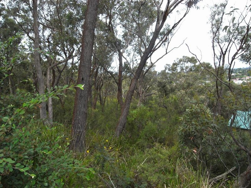 8 Coomassie Street, Katoomba NSW 2780