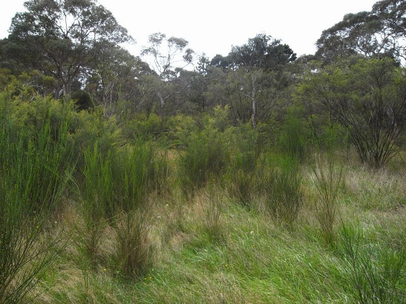 73 Railway Parade, Leura NSW 2780