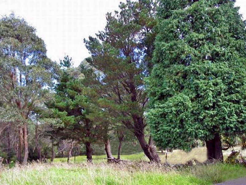 85-99 Burrawang Street, Katoomba NSW 2780