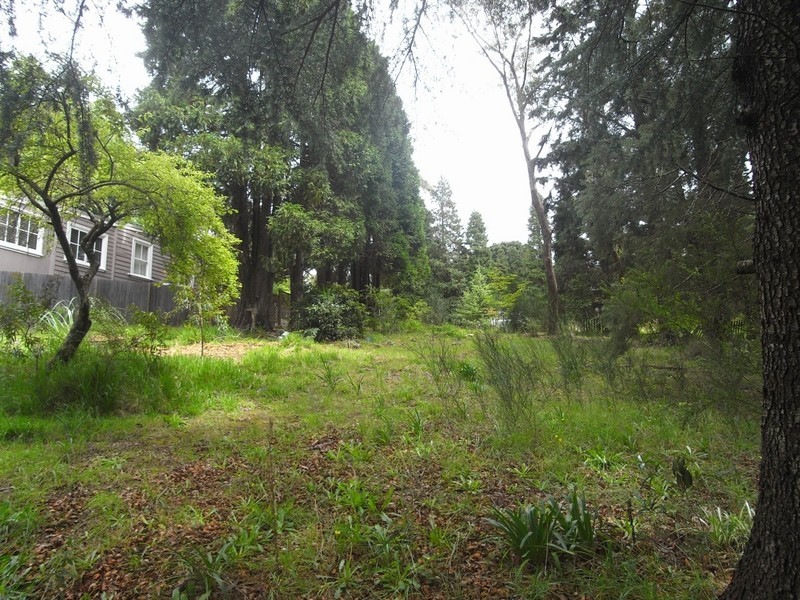 4 Wood Street, Wentworth Falls NSW 2782