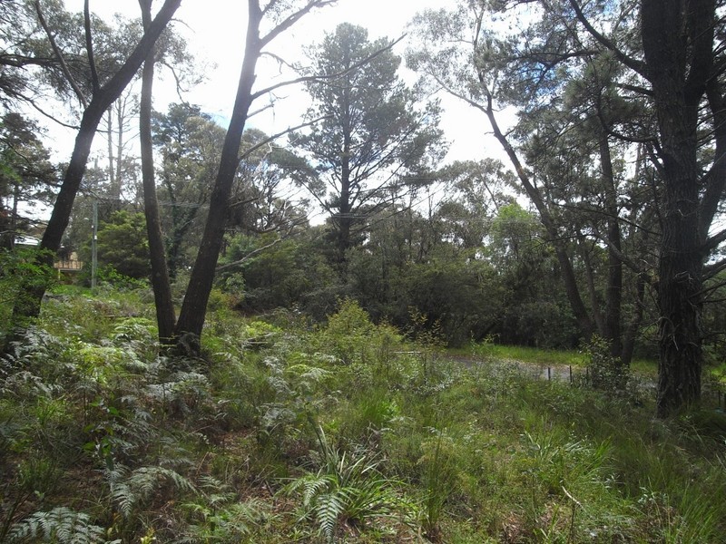 2 Wood Street, Wentworth Falls NSW 2782