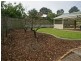 18 Gem St, Aberfoyle Park SA 5159