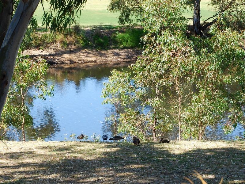 50 Miller Dr, Happy Valley SA 5159