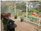 65 Homestead Drive, Aberfoyle Park SA 5159
