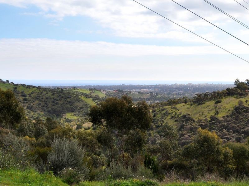 46 Broadmeadow Dr, Flagstaff Hill SA 5159