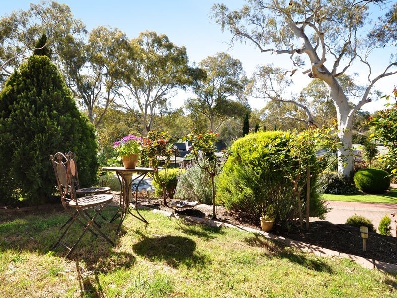 3 Robin Ct, Flagstaff Hill SA 5159