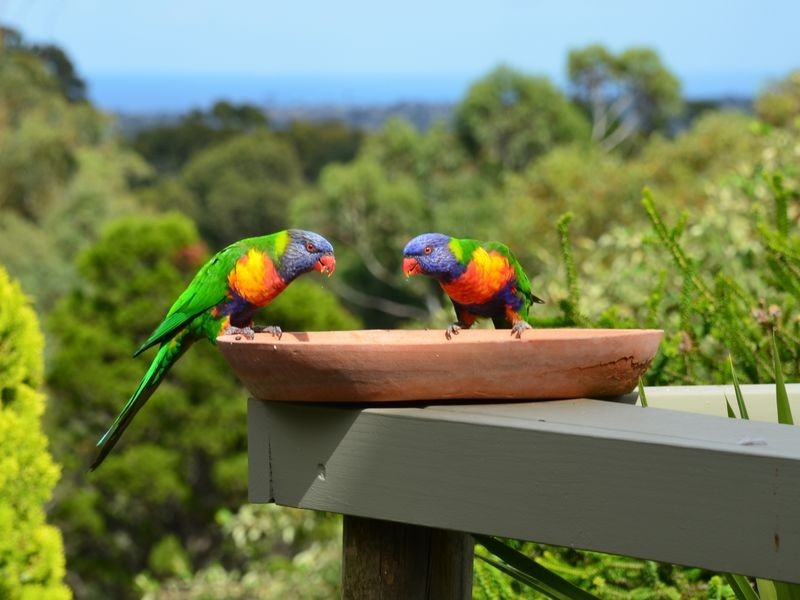 23 Nayook Gr, Happy Valley SA 5159