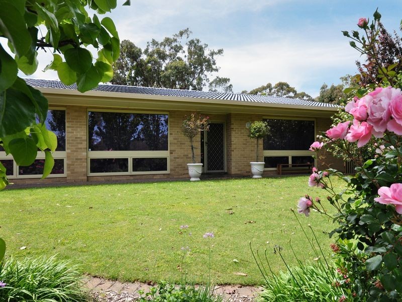 19 Hartley St, Flagstaff Hill SA 5159