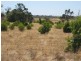 893-906 & Pangarinda Dr, Wellington East SA 5259