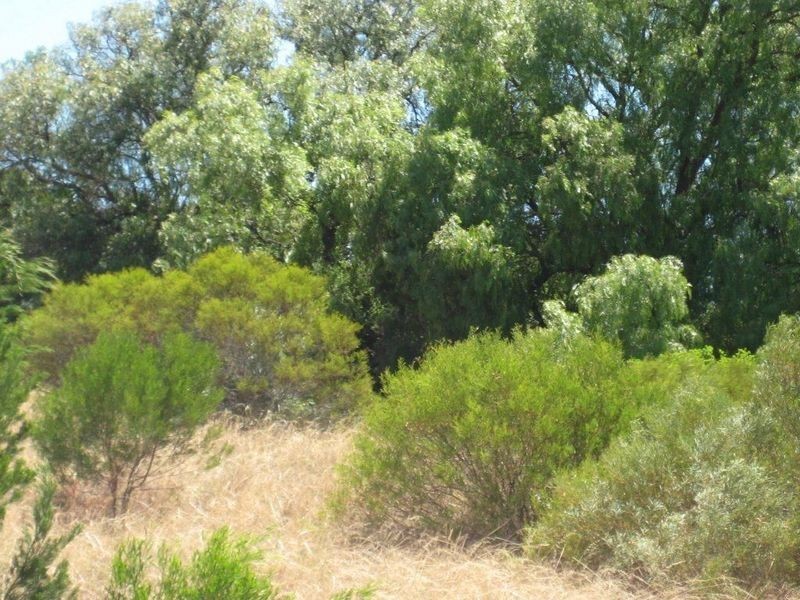 893-906 & Pangarinda Dr, Wellington East SA 5259
