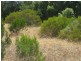 893-906 & Pangarinda Dr, Wellington East SA 5259