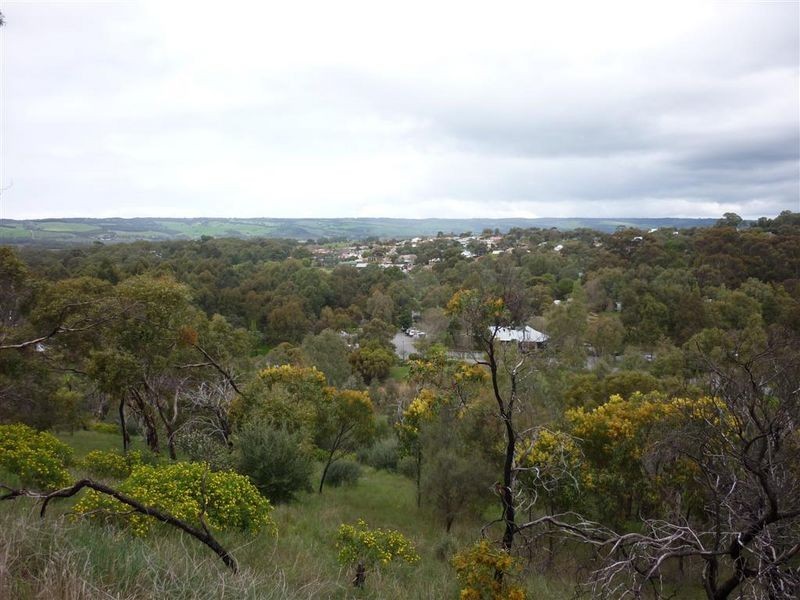 170 Main Road, Mclaren Vale SA 5171