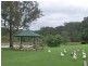 484 Currumbin Creek Rd, Currumbin QLD 4223