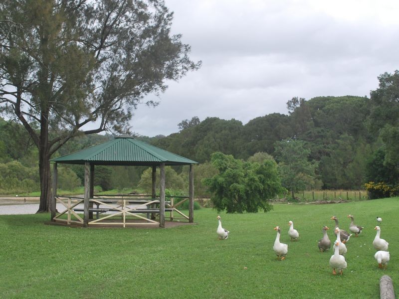 484 Currumbin Creek Rd, Currumbin QLD 4223