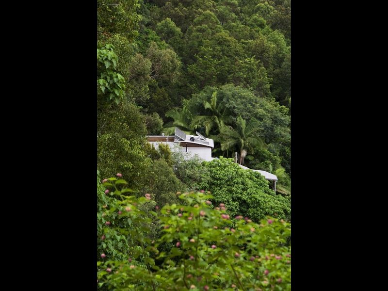 184 TOMEWIN MOUNTAIN ROAD, Currumbin Valley QLD 4223