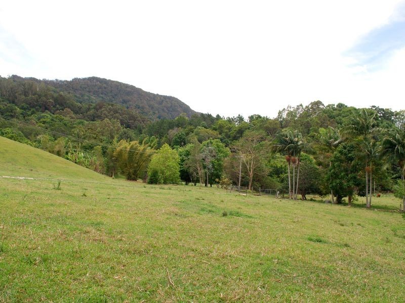 1340 Currumbin Creek Road, Currumbin Valley QLD 4223
