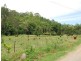 1340 Currumbin Creek Road, Currumbin Valley QLD 4223