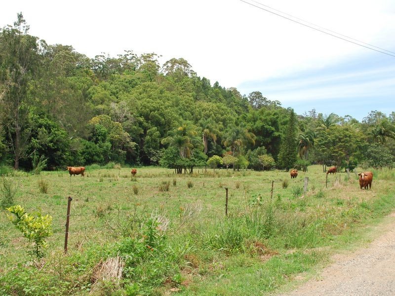 1340 Currumbin Creek Road, Currumbin Valley QLD 4223