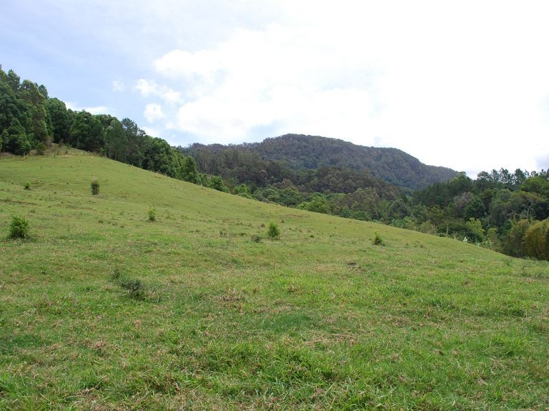 1340 Currumbin Creek Road, Currumbin Valley QLD 4223