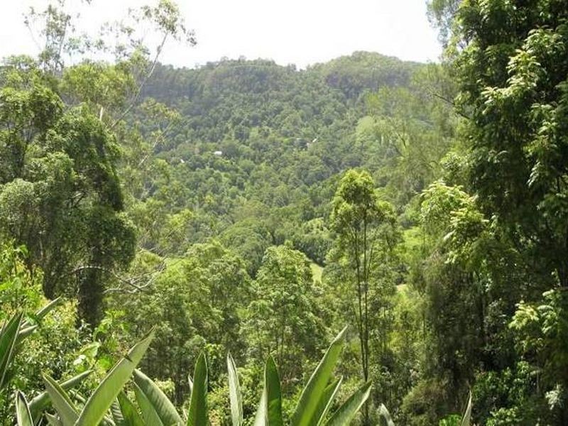 47 Bains Road, Currumbin Valley QLD 4223