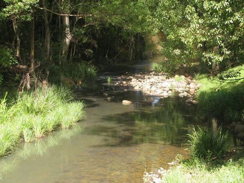 47 Bains Road, Currumbin Valley QLD 4223