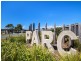 Tugun QLD 4224