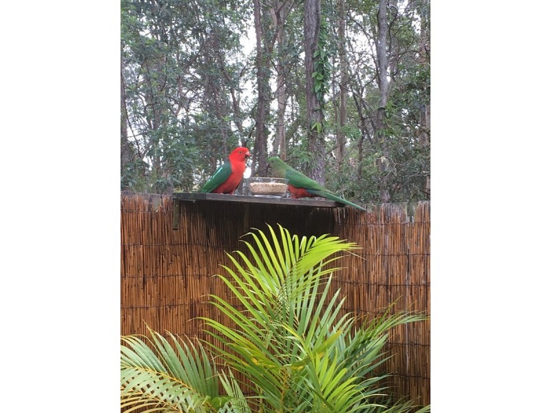 7/23 Nikau Crescent, Nerang QLD 4211