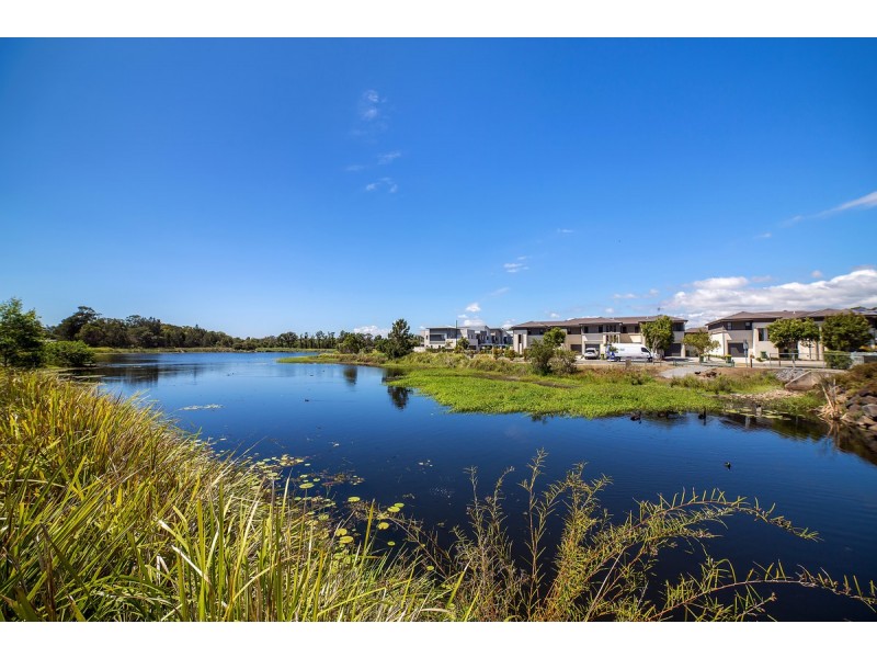 19/2 Inland Drive, Tugun QLD 4224