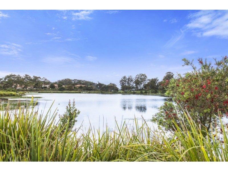 19/2 Inland Drive, Tugun QLD 4224