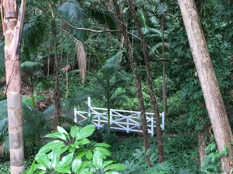 37 Marika Way, Currumbin Waters QLD 4223