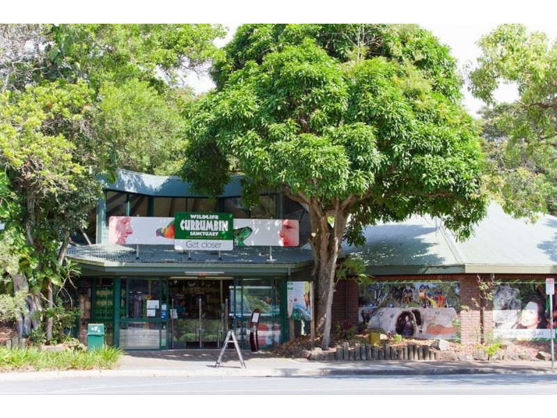 1/9 Domain Road, Currumbin QLD 4223