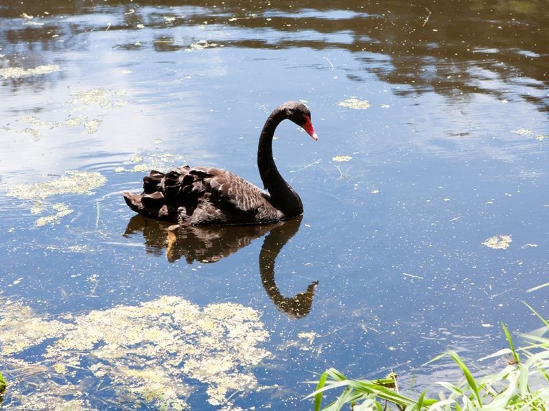 5/523 Gold Coast Hwy, Tugun QLD 4224