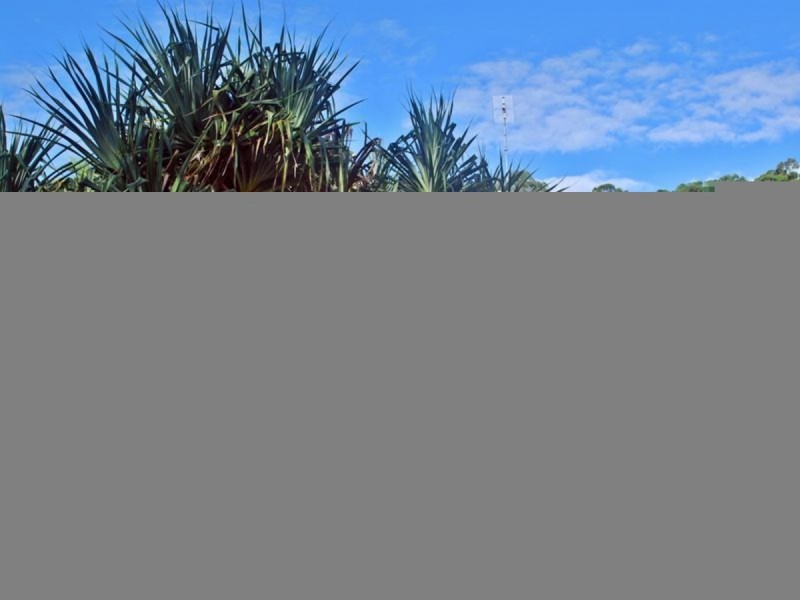 3/74 Duringan Street, Currumbin QLD 4223