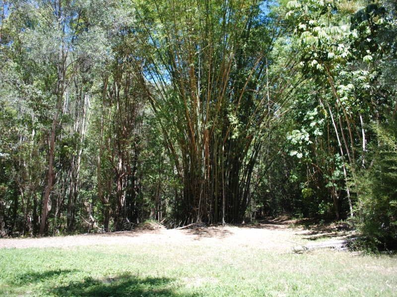 138 PIGGABEEN ROAD, Currumbin Valley QLD 4223