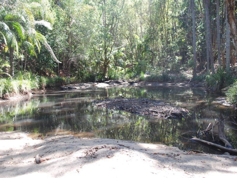 138 PIGGABEEN ROAD, Currumbin Valley QLD 4223