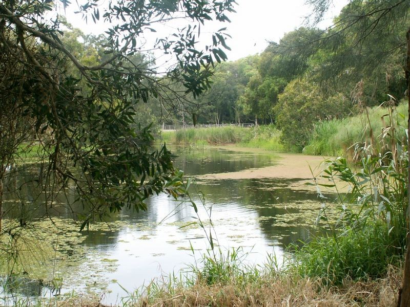 4/16 wade street, Currumbin QLD 4223